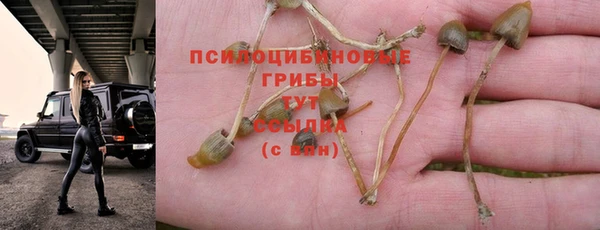 герыч Зерноград