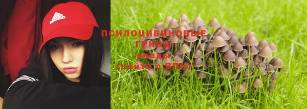 герыч Зерноград