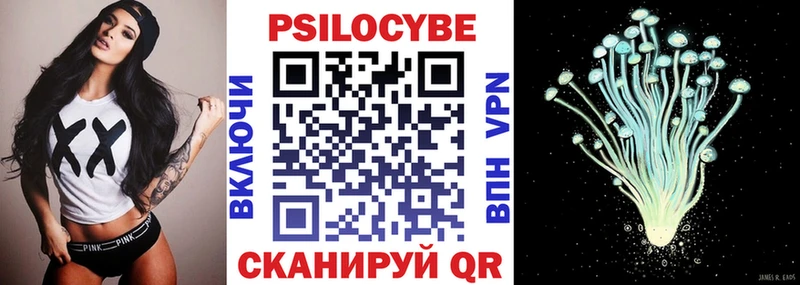 Псилоцибиновые грибы Cubensis  Купить закладки  Купино 